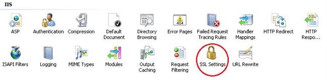 Настройки IIS SSL